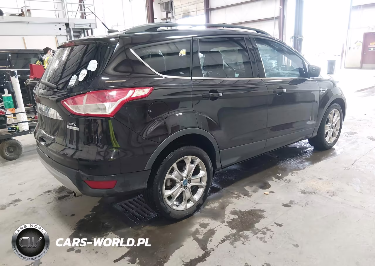 2013 Ford Escape Sel VIN:1FMCU0H94DUC24841 - 4