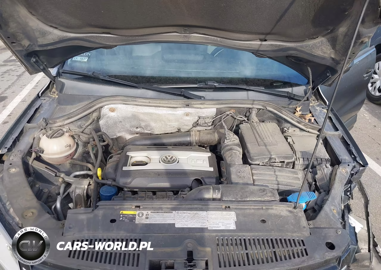 2016 Volkswagen Tiguan S VIN:WVGBV7AX9GW520179 - 10