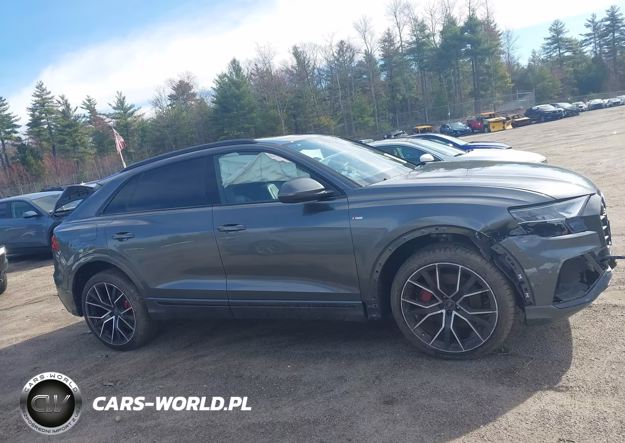 2019 Audi Q8 55 Premium VIN:WA1FVAF11KD022743 - 13