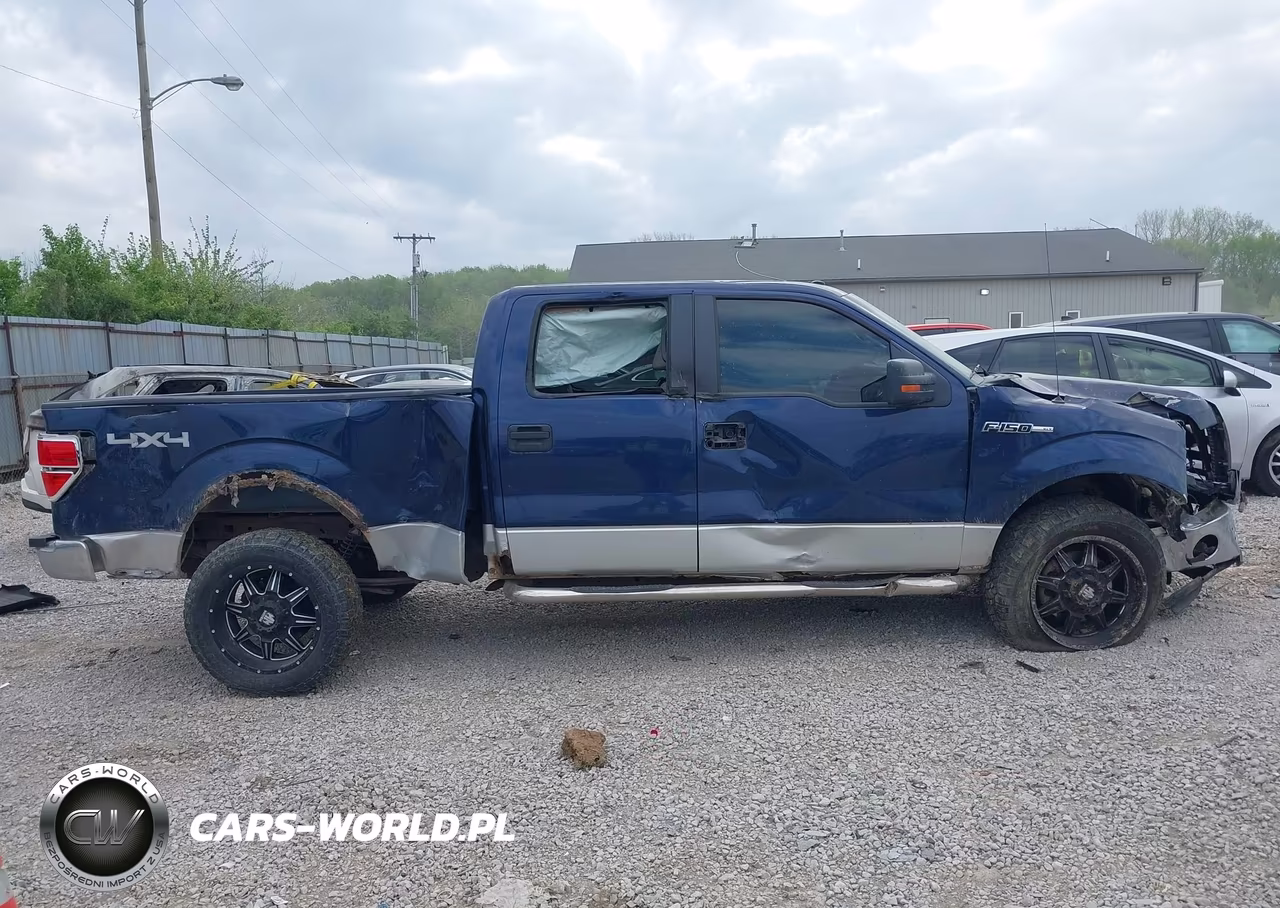 2010 Ford F-150 Fx4-Harley-Davidson-King Ranch-Lariat-Platinum-Xl-Xlt VIN:1FTFW1EV9AFB36757 - 13