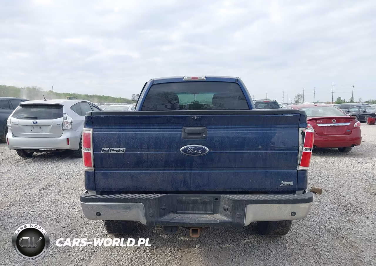 2010 Ford F-150 Fx4-Harley-Davidson-King Ranch-Lariat-Platinum-Xl-Xlt VIN:1FTFW1EV9AFB36757 - 16