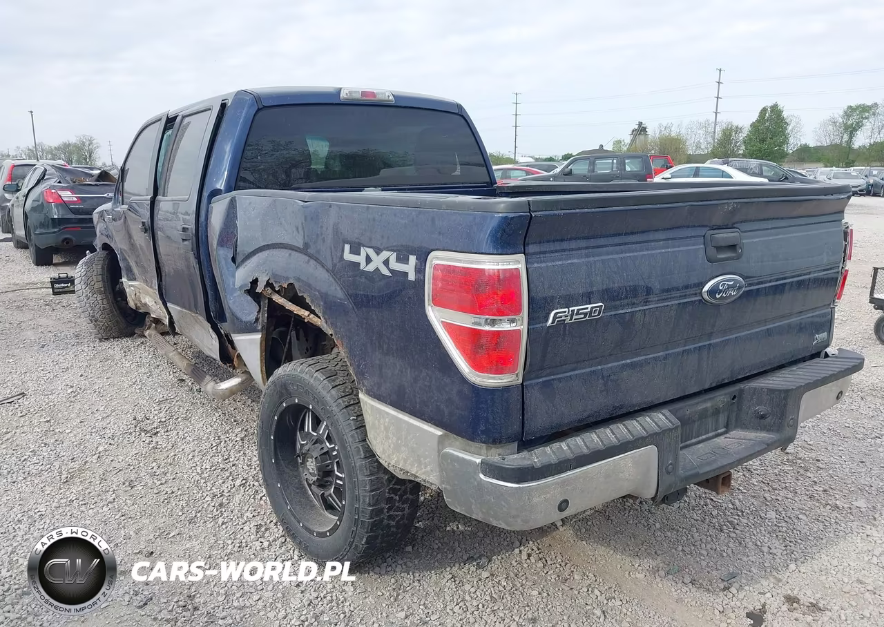 2010 Ford F-150 Fx4-Harley-Davidson-King Ranch-Lariat-Platinum-Xl-Xlt VIN:1FTFW1EV9AFB36757 - 3