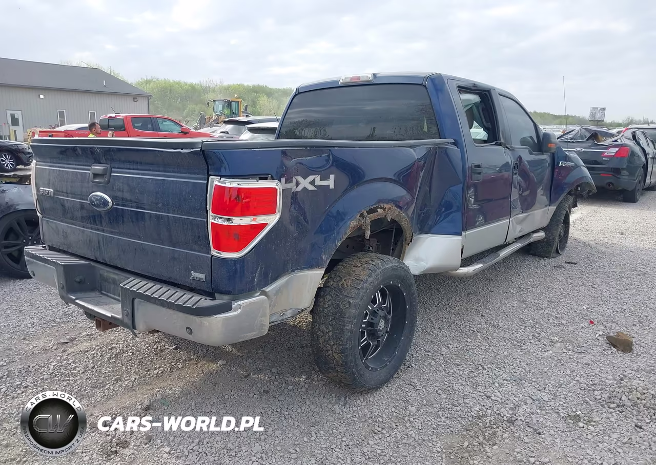 2010 Ford F-150 Fx4-Harley-Davidson-King Ranch-Lariat-Platinum-Xl-Xlt VIN:1FTFW1EV9AFB36757 - 4