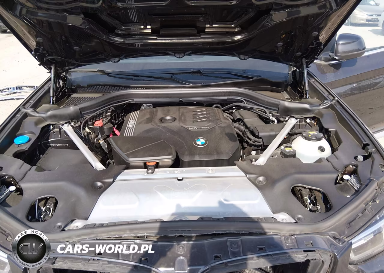 2022 BMW X3 xDrive30I VIN:WBX57DP06NN168978 - 10