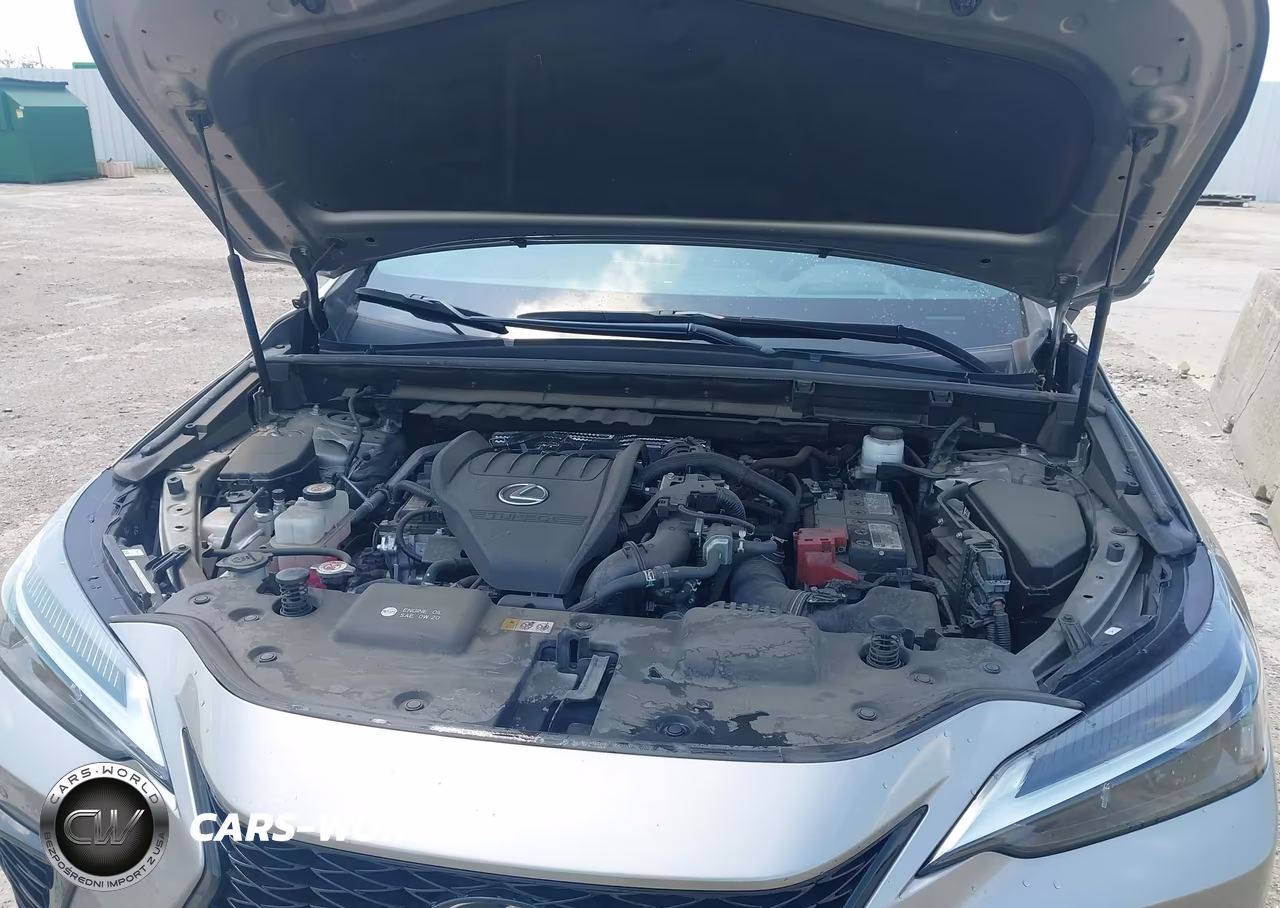 2023 Lexus Nx 350 F Sport Handling VIN:2T2KGCEZ8PC025074 - 10