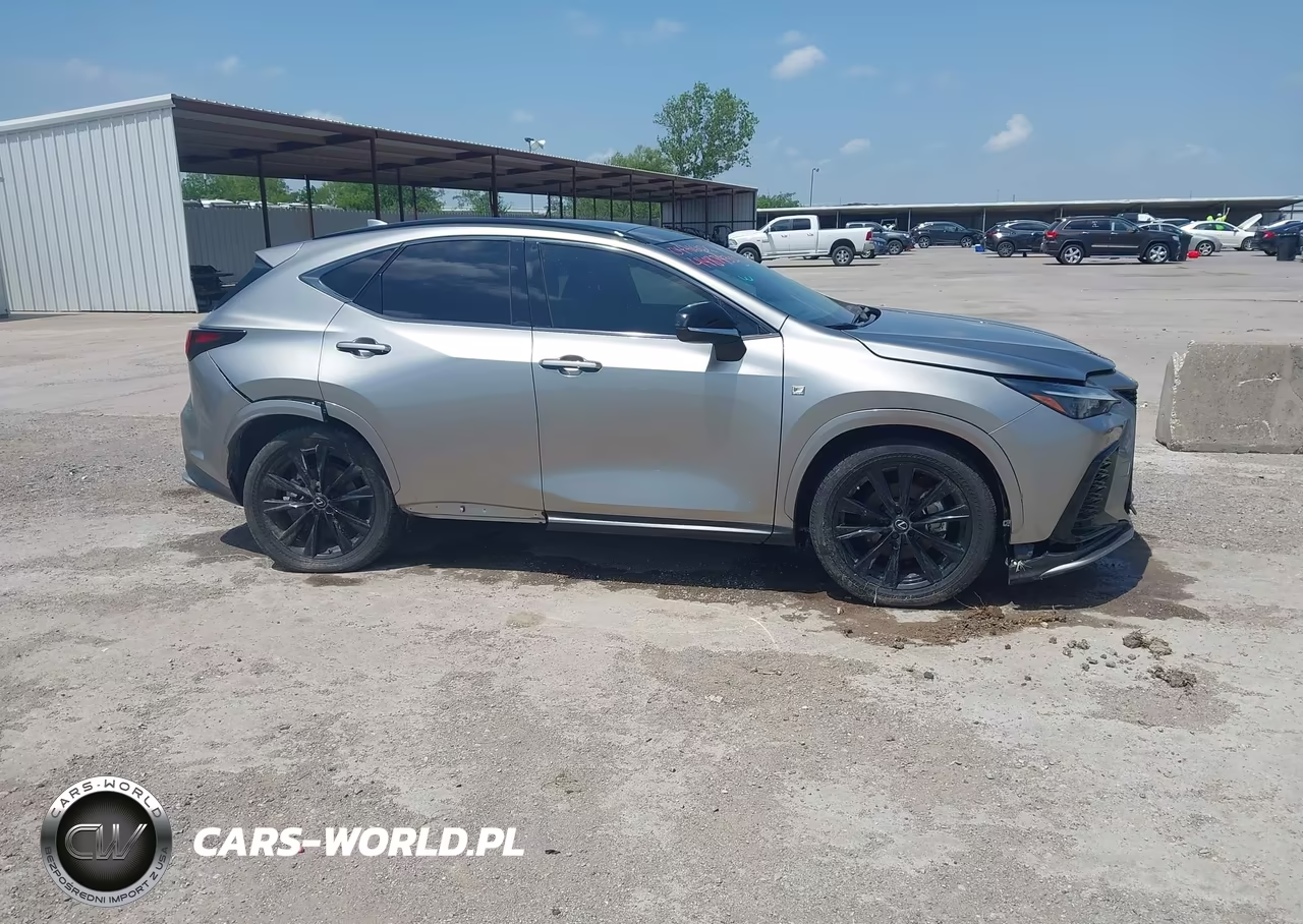 2023 Lexus Nx 350 F Sport Handling VIN:2T2KGCEZ8PC025074 - 13