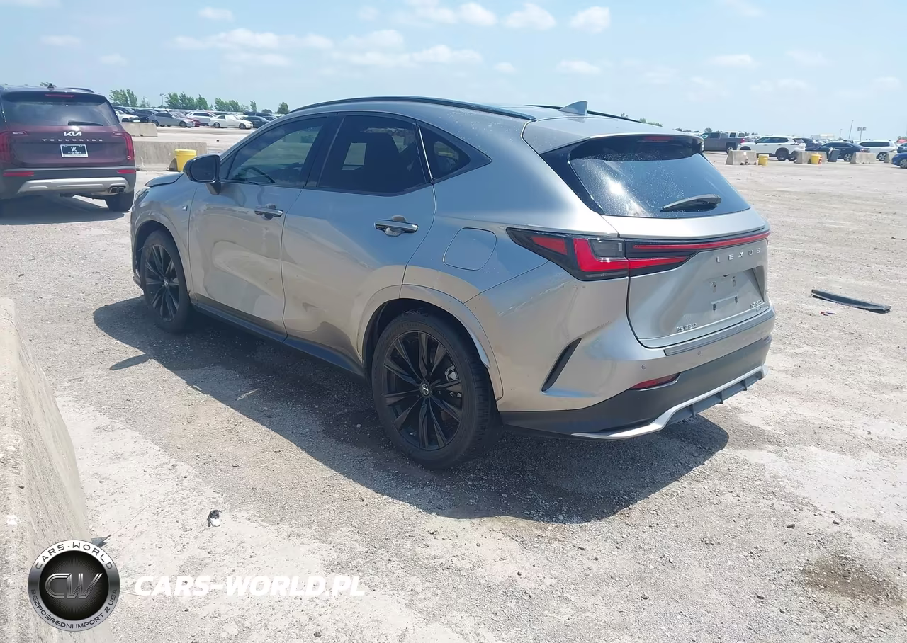 2023 Lexus Nx 350 F Sport Handling VIN:2T2KGCEZ8PC025074 - 3