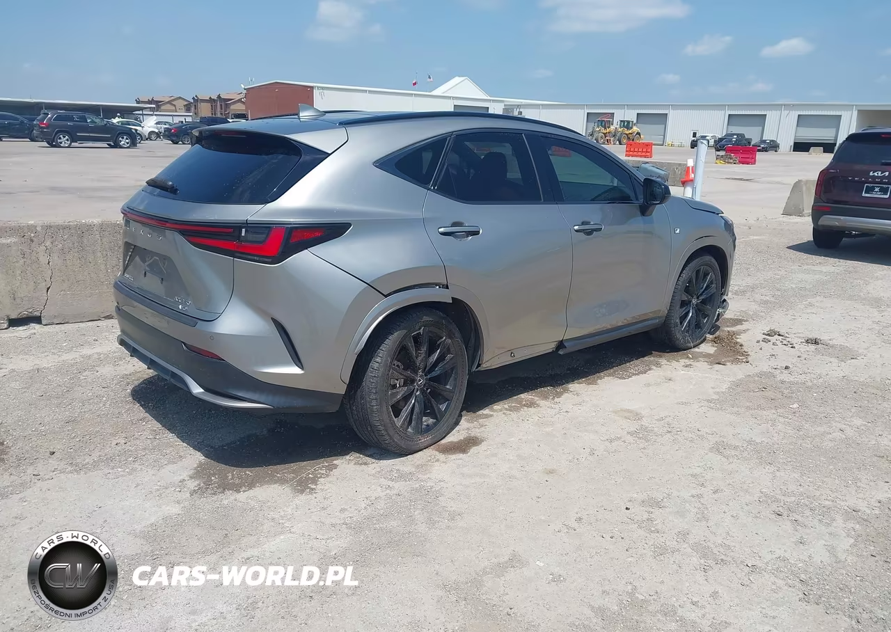 2023 Lexus Nx 350 F Sport Handling VIN:2T2KGCEZ8PC025074 - 6