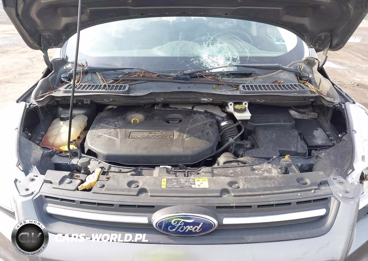 2013 Ford Escape Se VIN:1FMCU9G91DUA13876 - 10