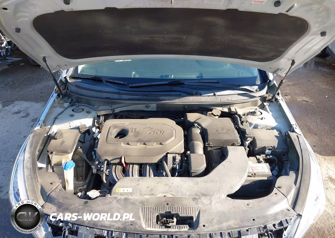 2016 Hyundai Sonata Se VIN:5NPE24AF9GH405765 - 10