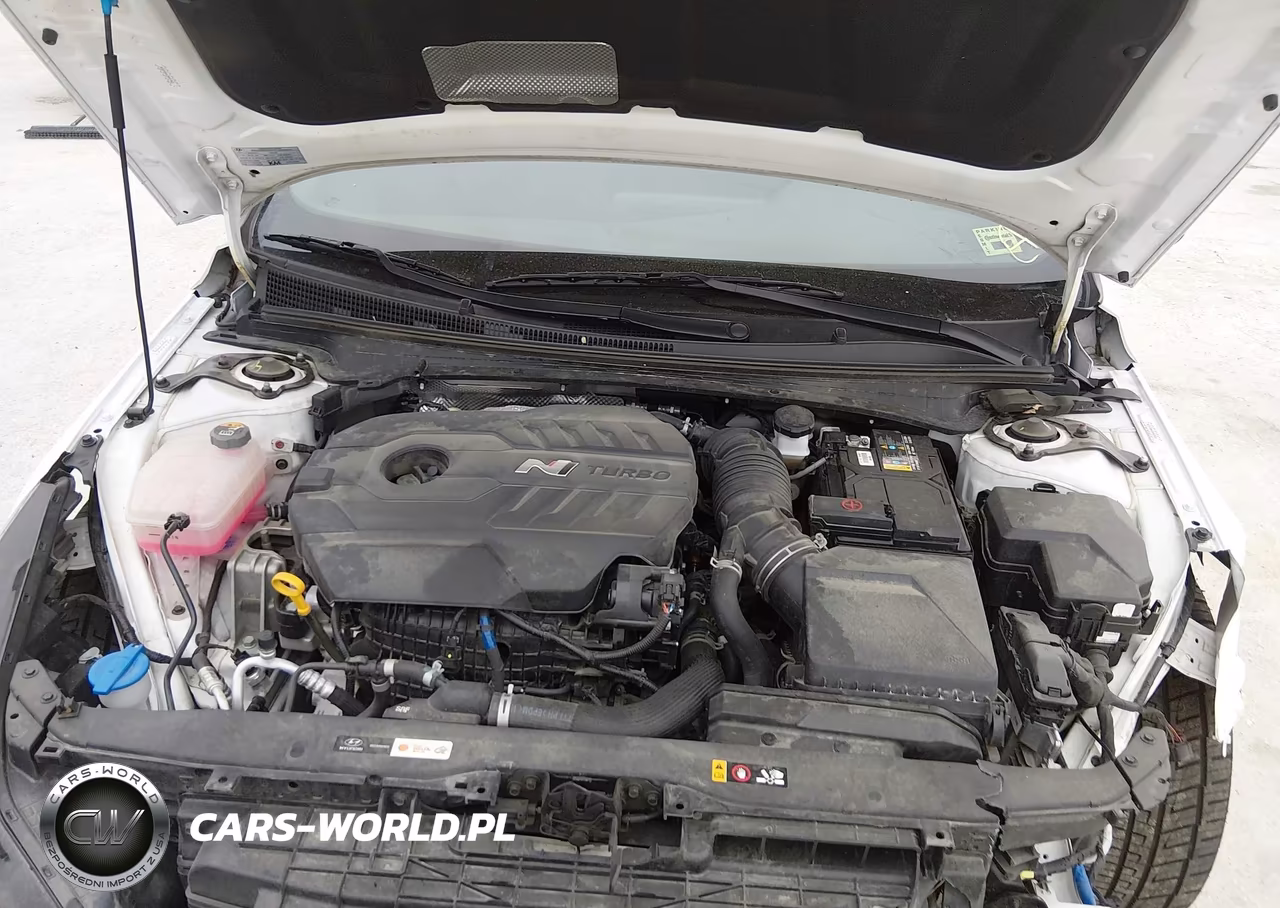 2023 Hyundai Elantra N VIN:KMHLW4AKXPU015820 - 10