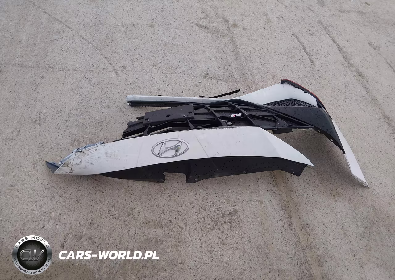 2023 Hyundai Elantra N VIN:KMHLW4AKXPU015820 - 12