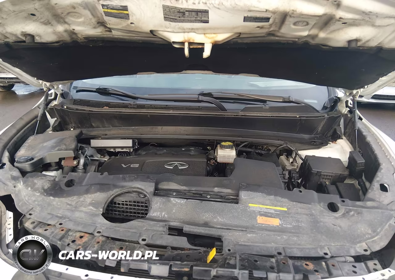 2019 Infiniti Qx60 Luxe VIN:5N1DL0MM9KC561395 - 10