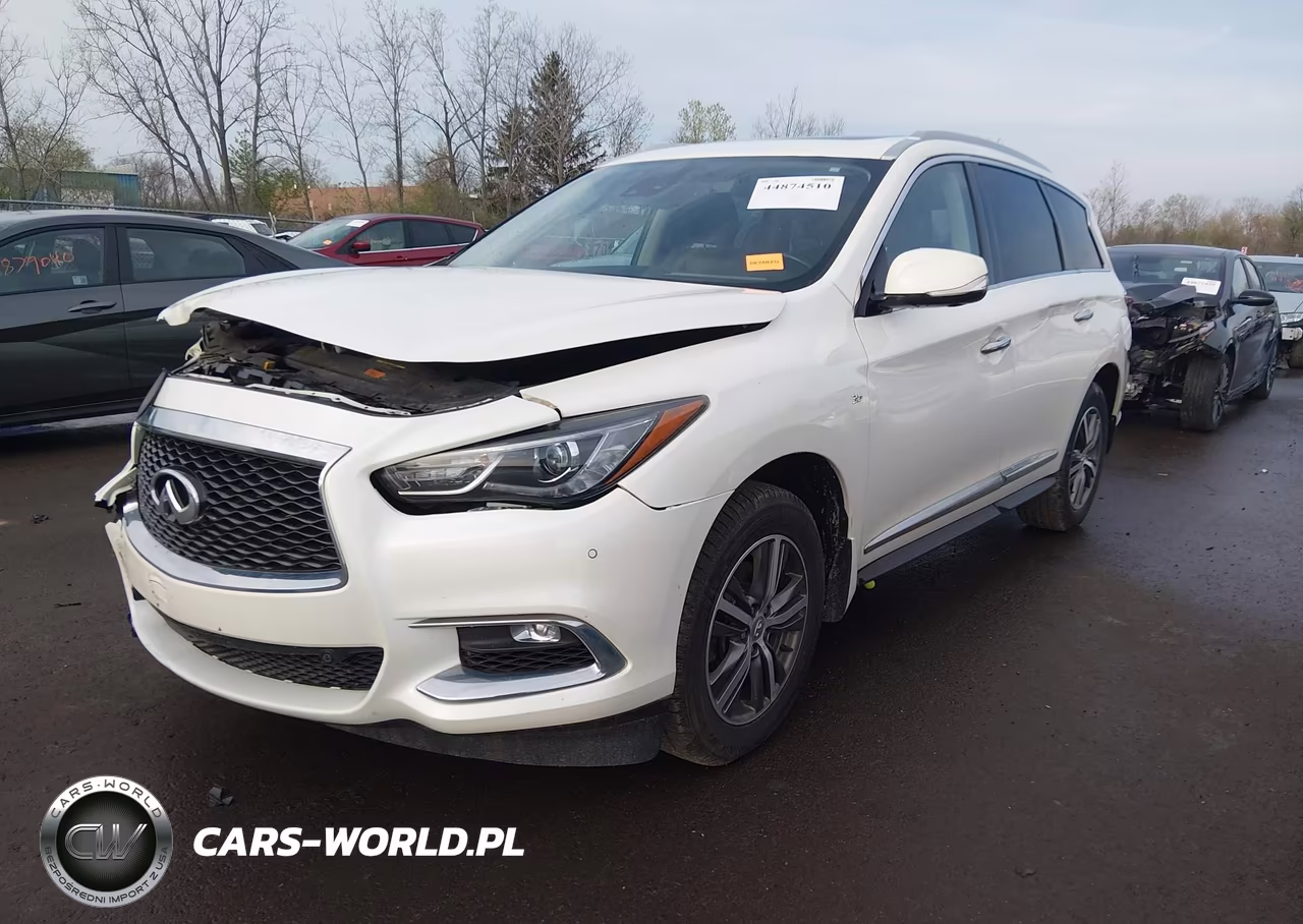 2019 Infiniti Qx60 Luxe VIN:5N1DL0MM9KC561395 - 2