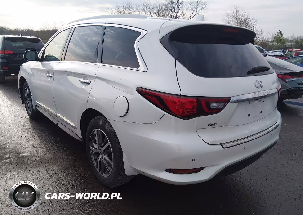 2019 Infiniti Qx60 Luxe VIN:5N1DL0MM9KC561395 - 3