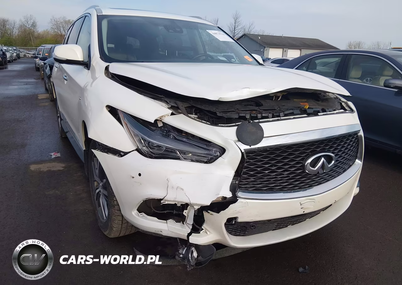 2019 Infiniti Qx60 Luxe VIN:5N1DL0MM9KC561395 - 6