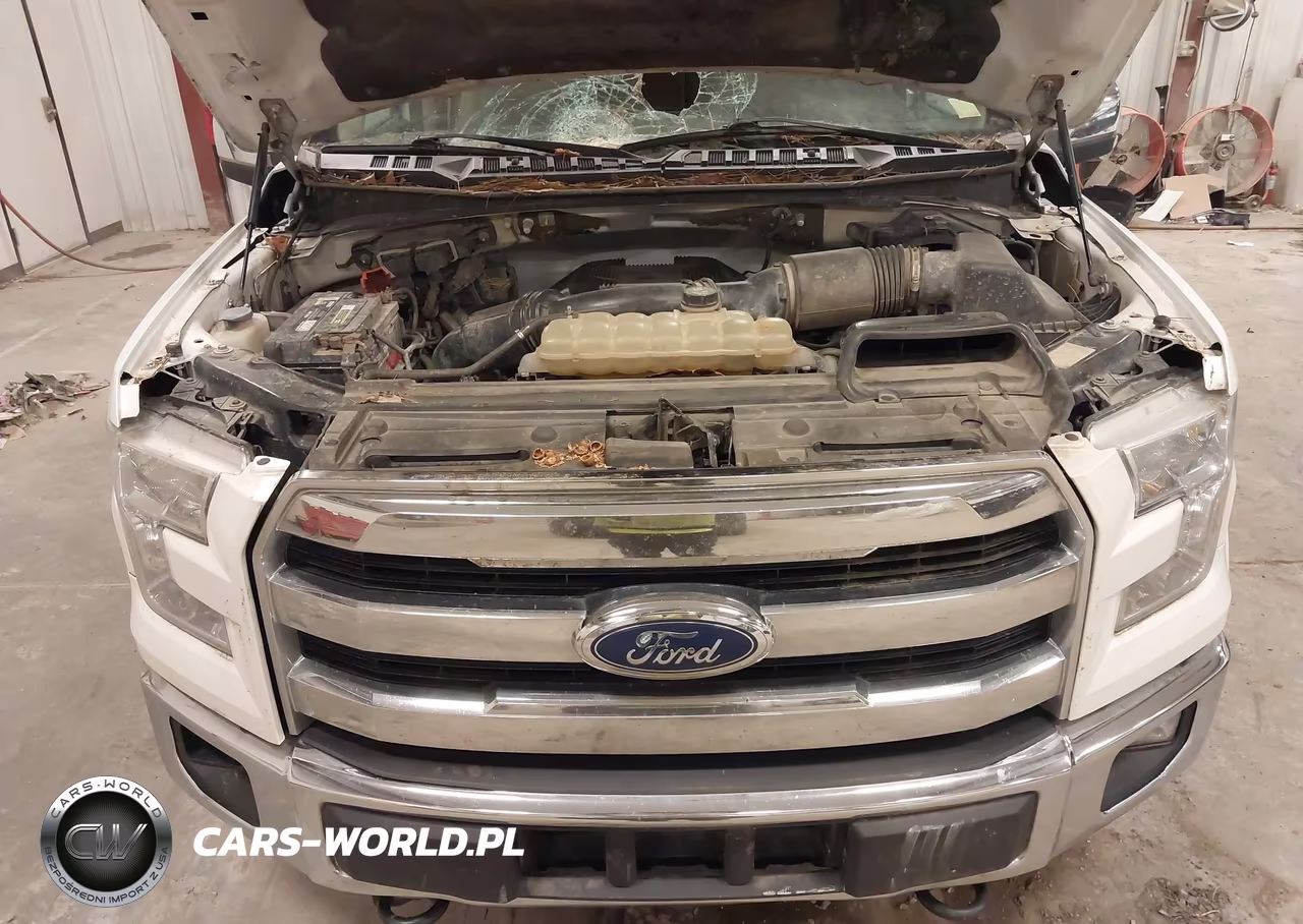 2017 Ford F-150 Lariat VIN:1FTFW1EG5HKD51880 - 10
