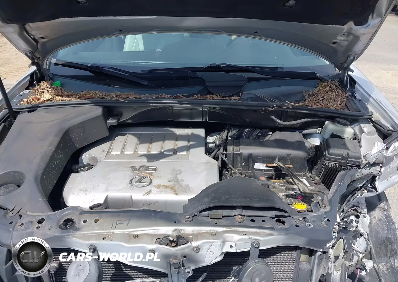 2009 Lexus Rx 350 VIN:2T2GK31U29C078497 - 10
