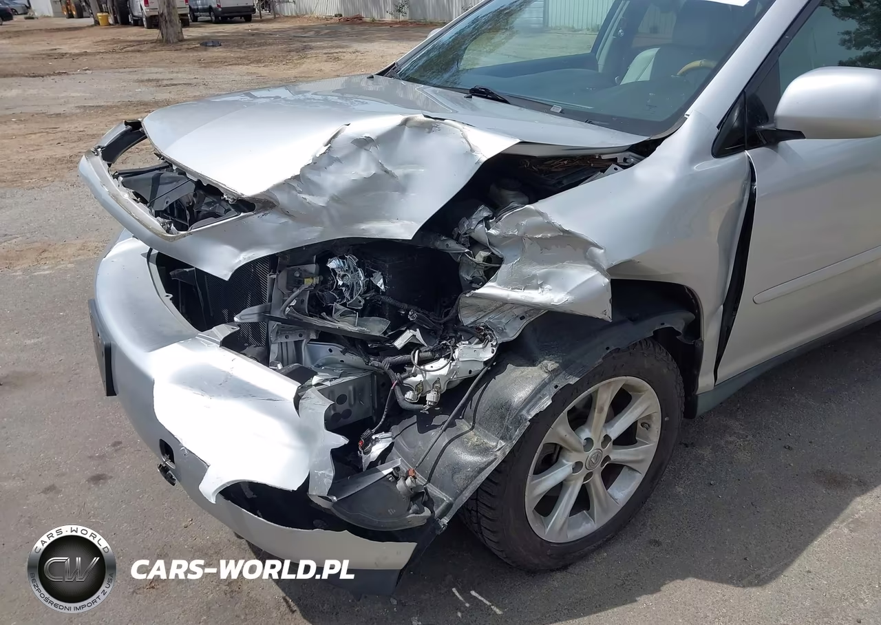 2009 Lexus Rx 350 VIN:2T2GK31U29C078497 - 6