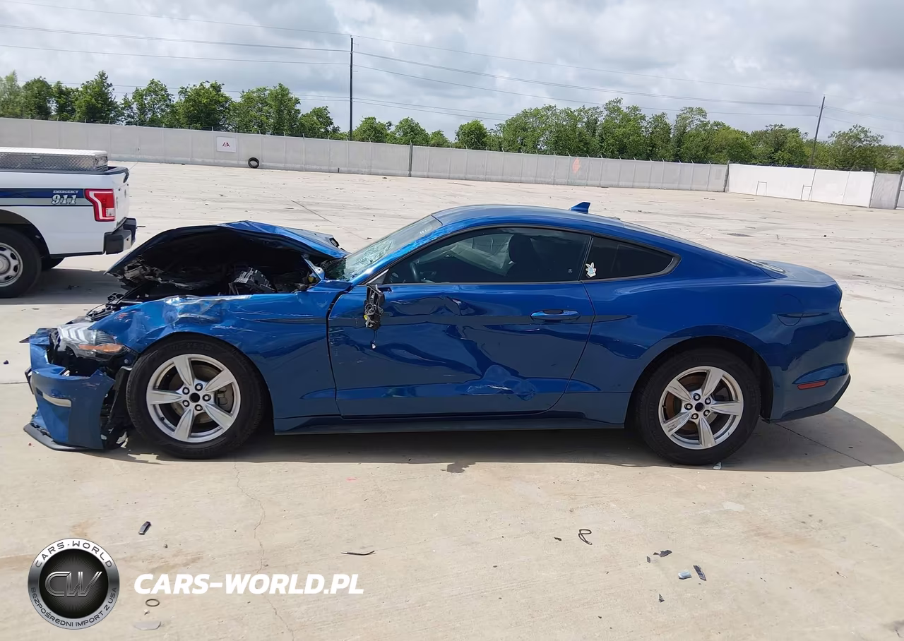 2023 Ford Mustang Ecoboost Fastback VIN:1FA6P8TH6P5100192 - 13