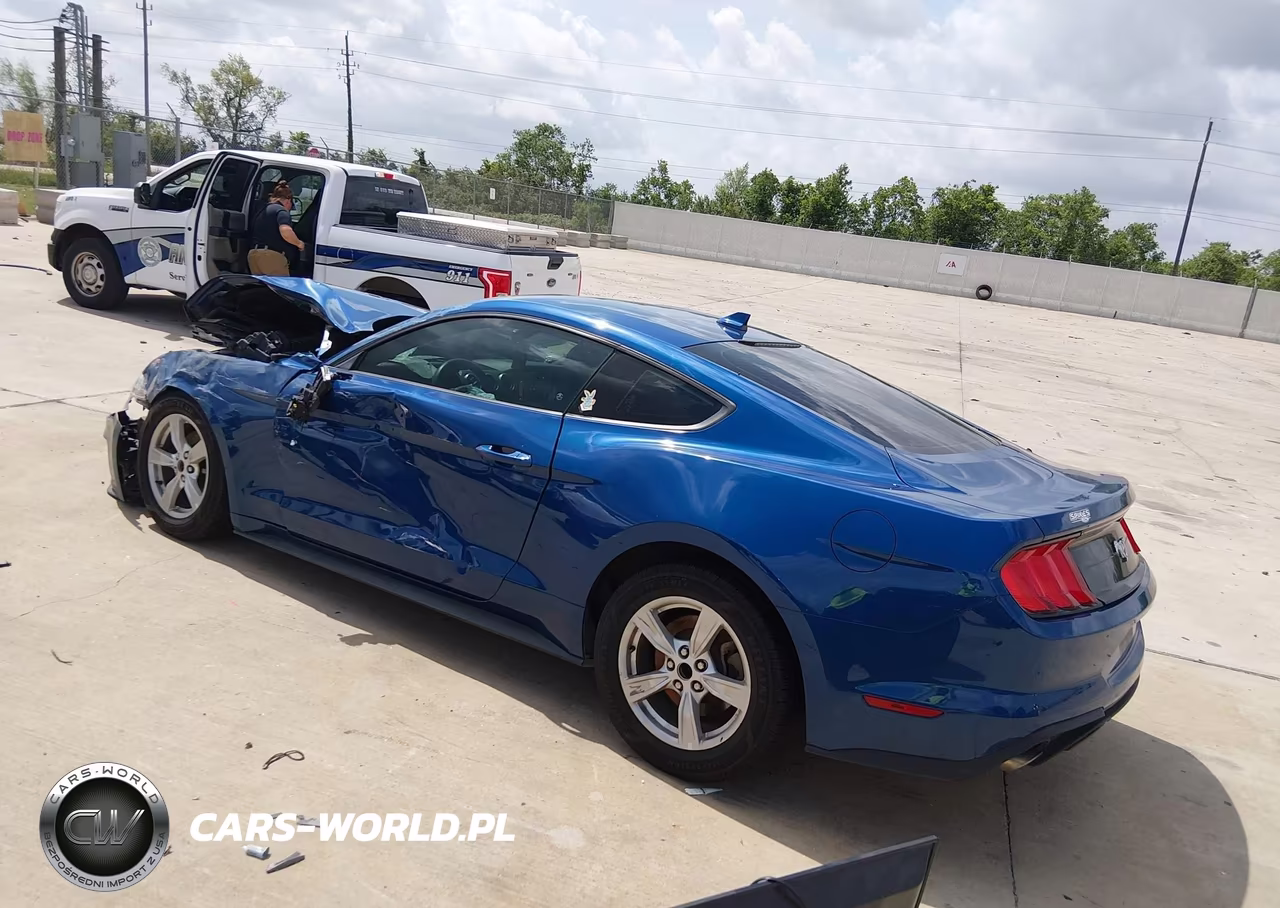 2023 Ford Mustang Ecoboost Fastback VIN:1FA6P8TH6P5100192 - 3