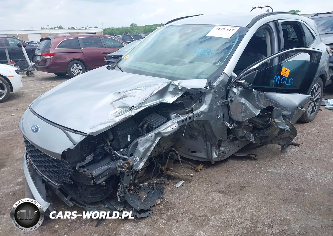 2022 Ford Escape Sel VIN:1FMCU0H60NUB30432 - 2