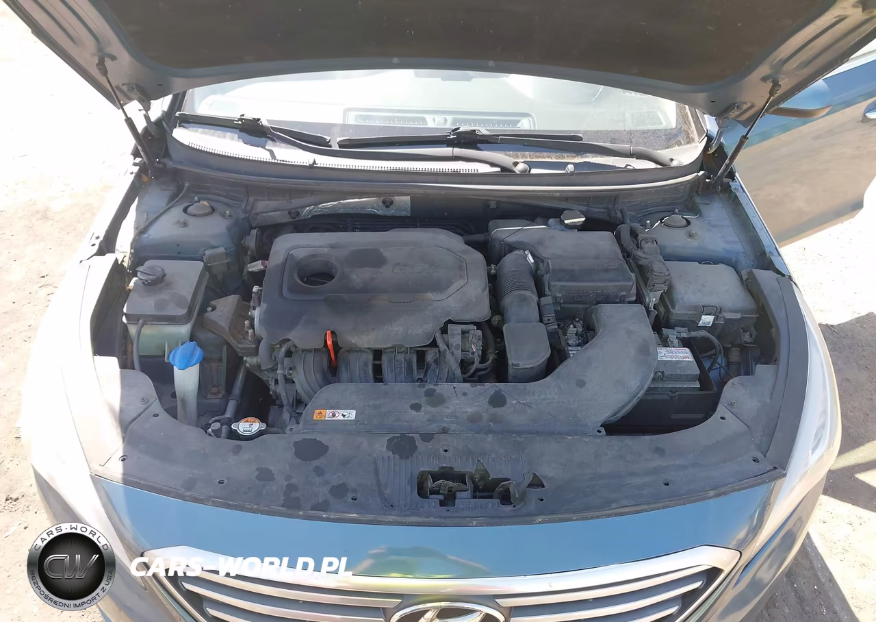 2015 Hyundai Sonata Se VIN:5NPE24AF8FH244226 - 10