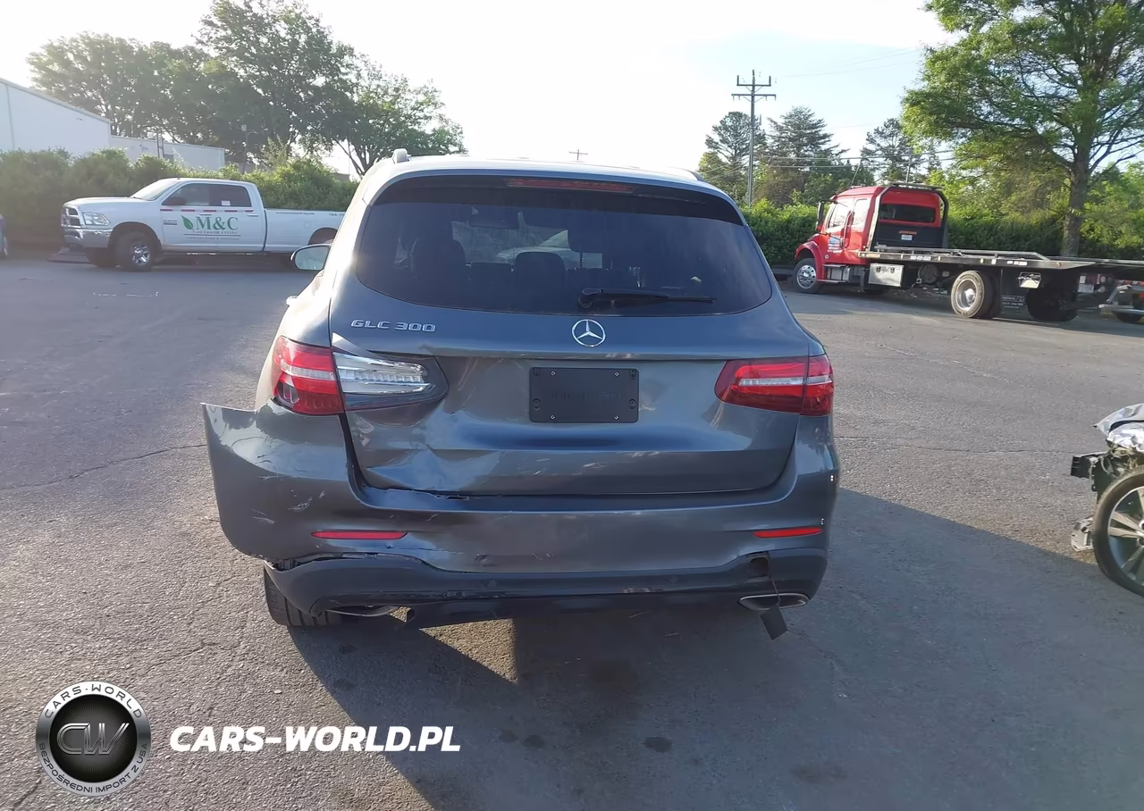 2019 Mercedes-Benz Glc 300 VIN:WDC0G4JB0KV177490 - 16