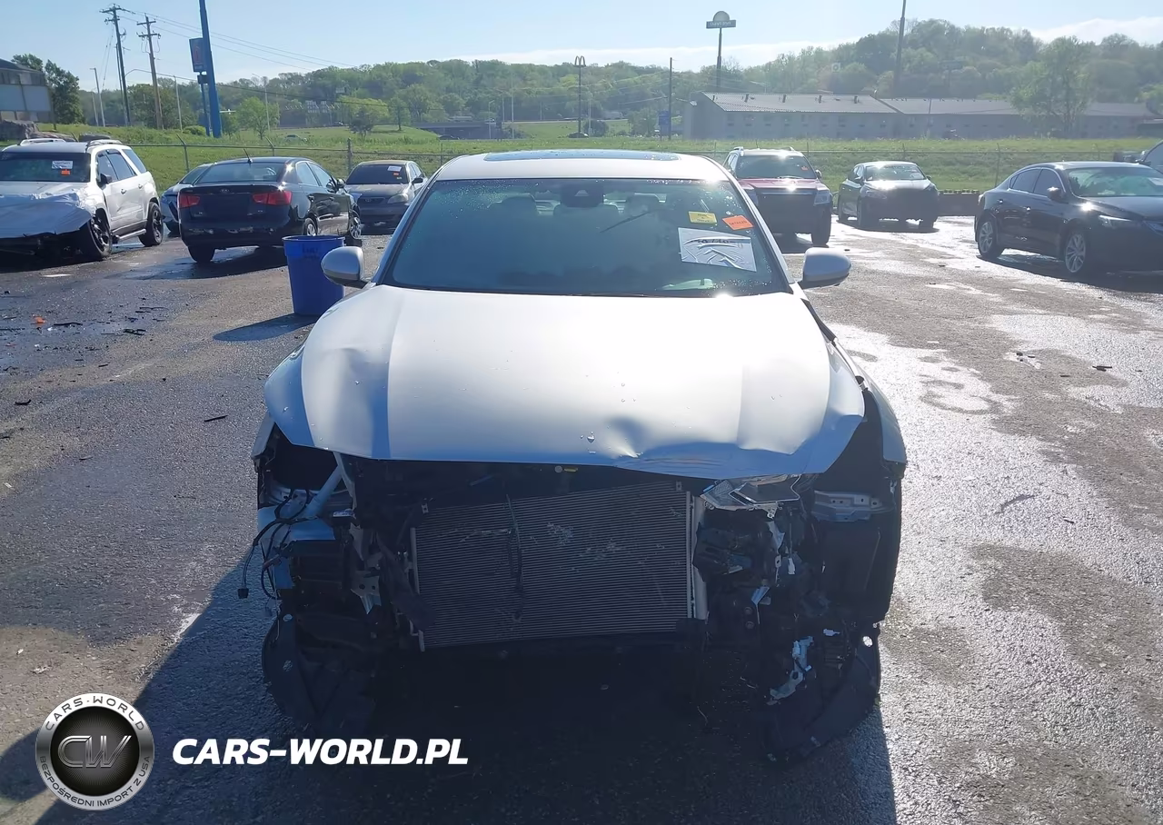 2019 Nissan Altima 2.5 Platinum VIN:1N4BL4FW4KC131751 - 12