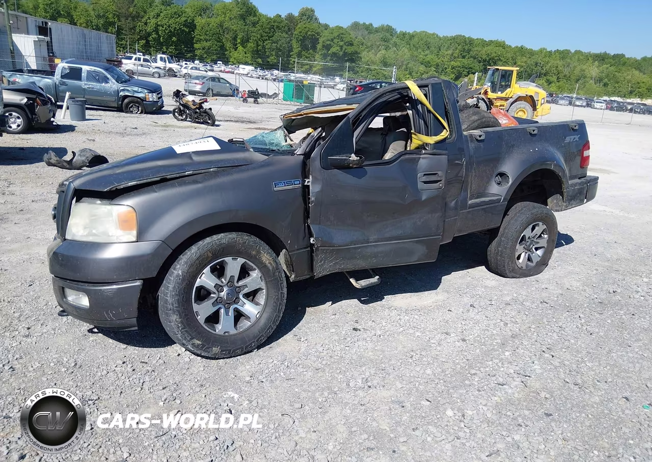 2005 Ford F-150 Stx-Xlt VIN:1FTRF04W15KF06971 - 2