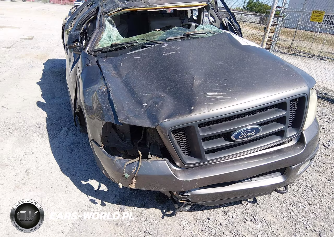 2005 Ford F-150 Stx-Xlt VIN:1FTRF04W15KF06971 - 6