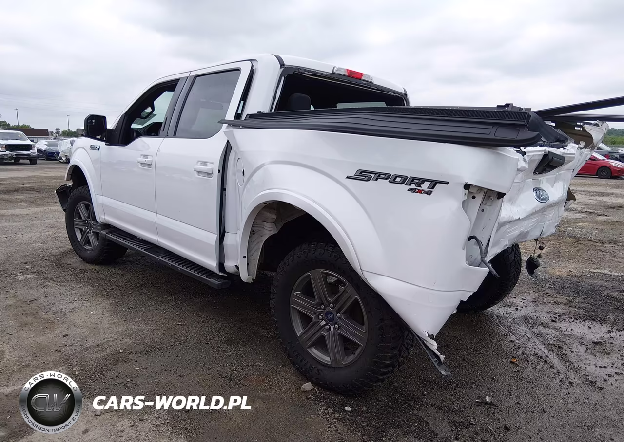2020 Ford F-150 Xlt VIN:1FTEW1EP1LKE53262 - 3
