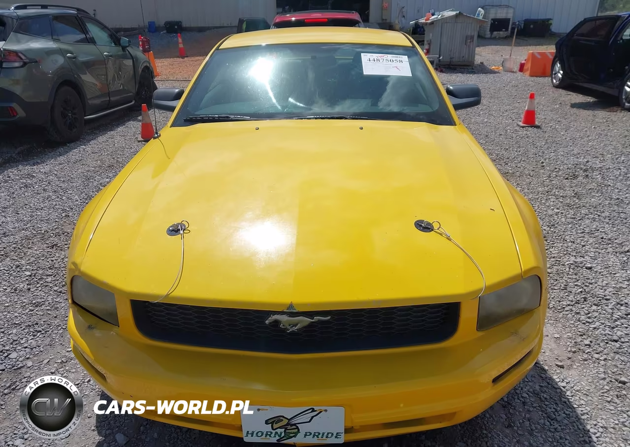 2005 Ford Mustang V6 Deluxe-V6 Premium VIN:1ZVFT80N355114299 - 12