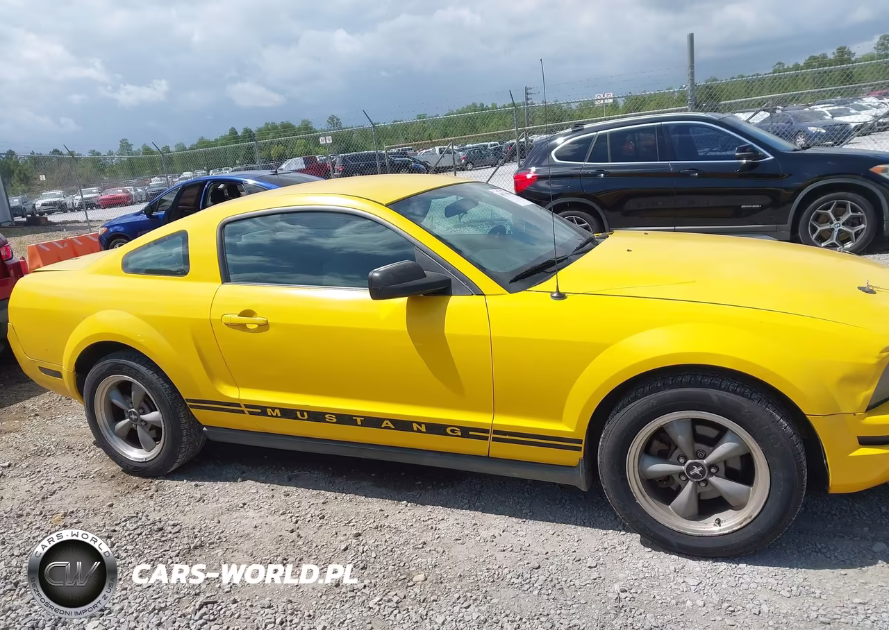 2005 Ford Mustang V6 Deluxe-V6 Premium VIN:1ZVFT80N355114299 - 13