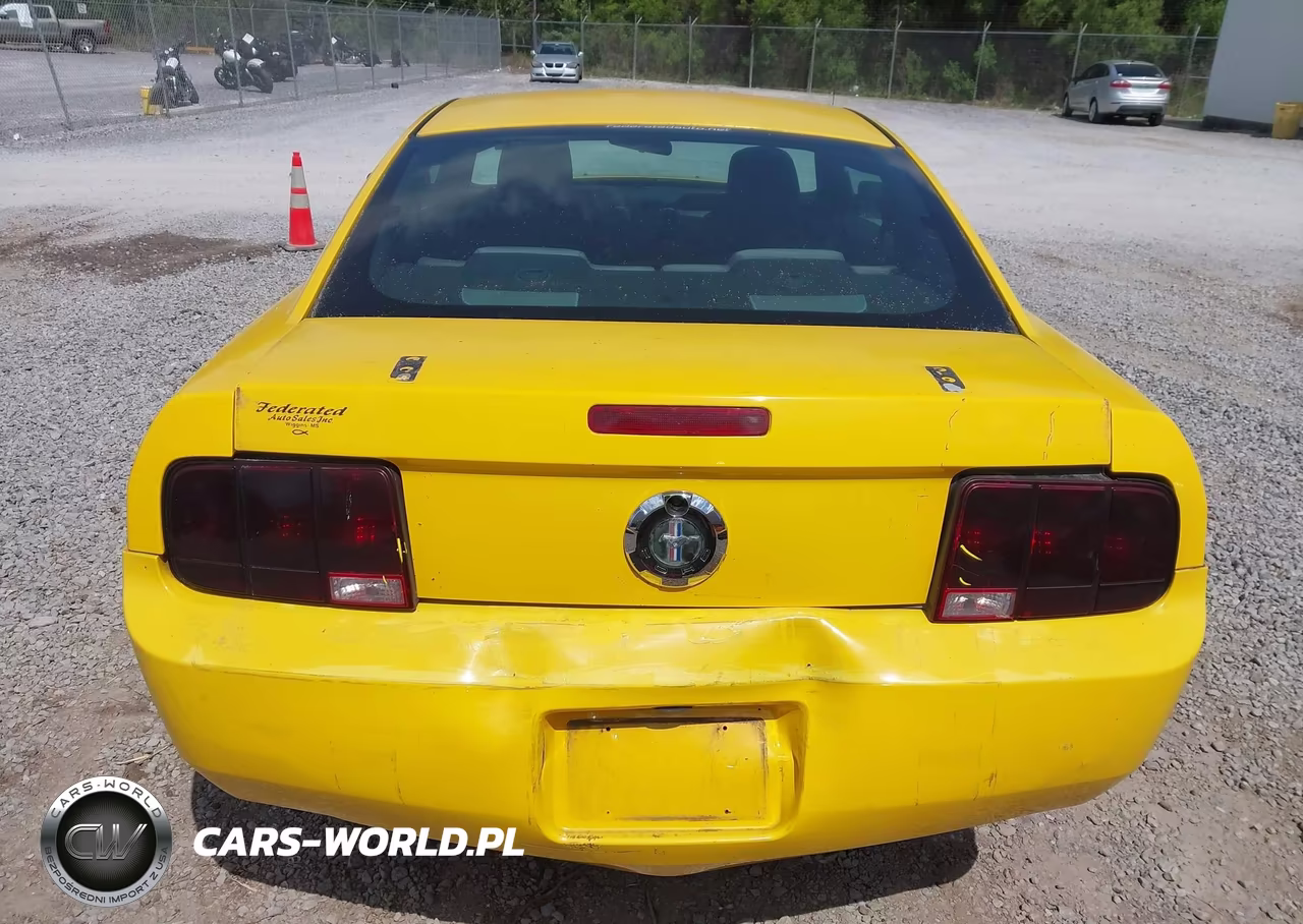 2005 Ford Mustang V6 Deluxe-V6 Premium VIN:1ZVFT80N355114299 - 16