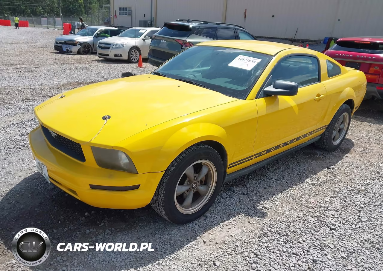 2005 Ford Mustang V6 Deluxe-V6 Premium VIN:1ZVFT80N355114299 - 2