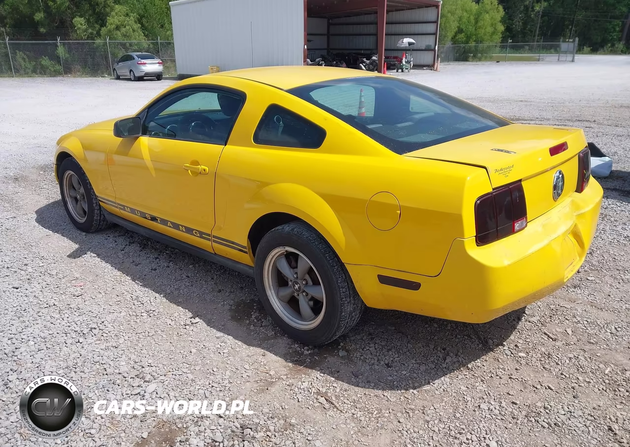2005 Ford Mustang V6 Deluxe-V6 Premium VIN:1ZVFT80N355114299 - 3