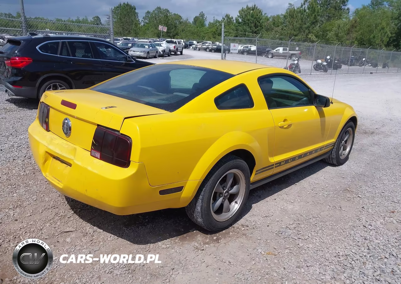 2005 Ford Mustang V6 Deluxe-V6 Premium VIN:1ZVFT80N355114299 - 4