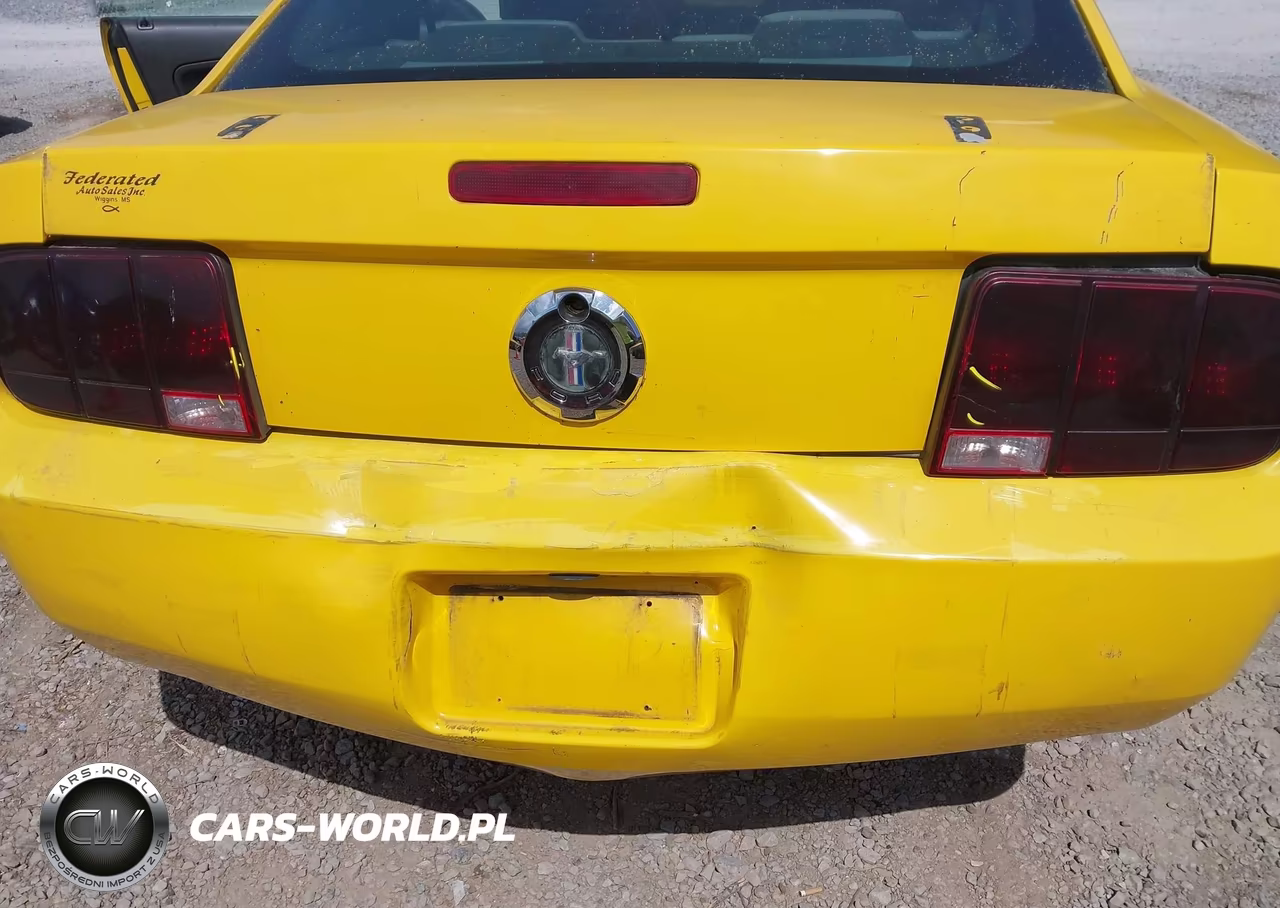 2005 Ford Mustang V6 Deluxe-V6 Premium VIN:1ZVFT80N355114299 - 6