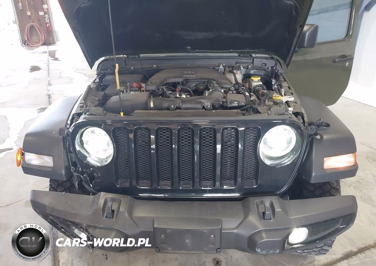 2021 Jeep Wrangler Unlimited Willys 4X4 VIN:1C4HJXDG4MW579996 - 10