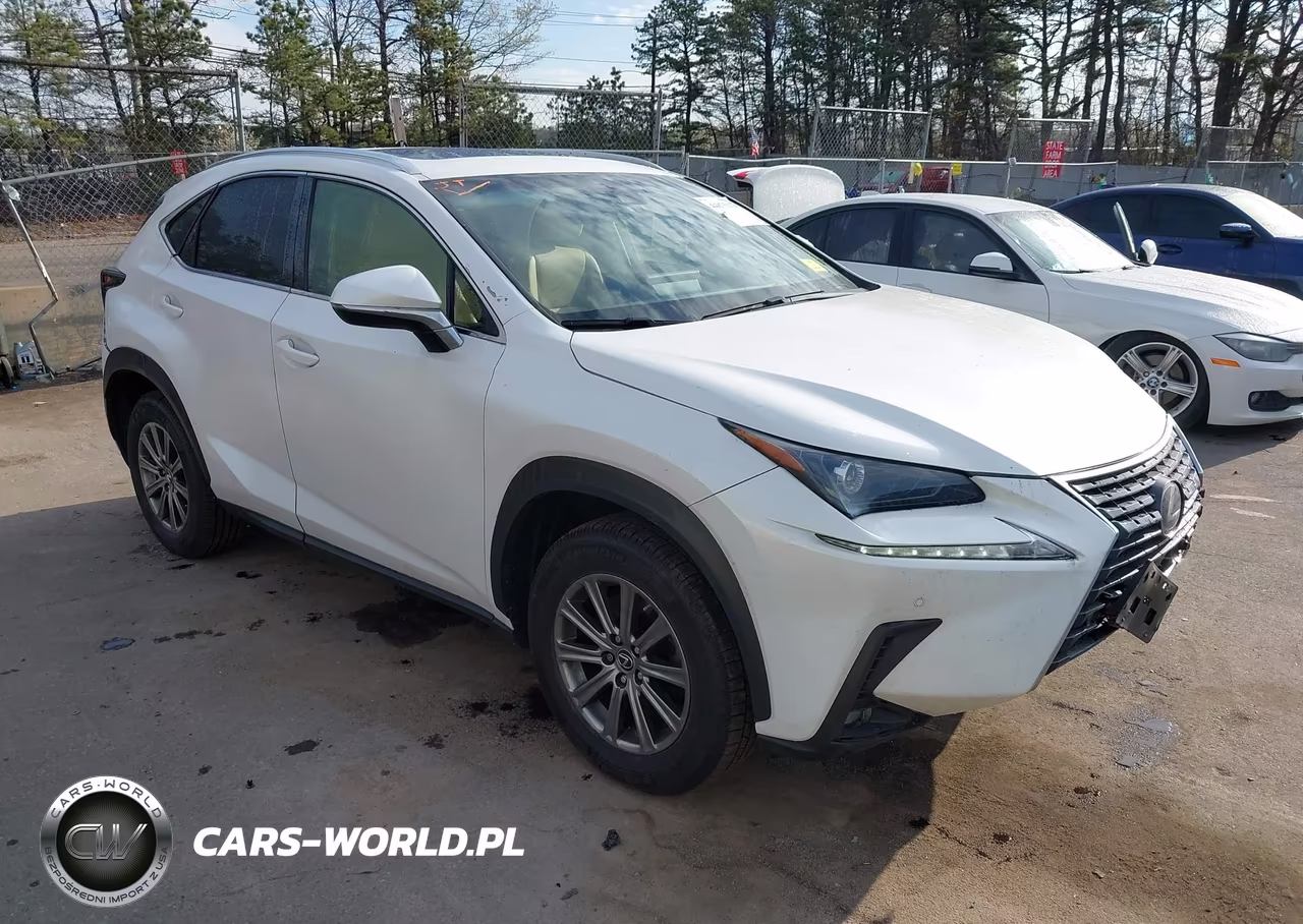 2019 Lexus Nx 300