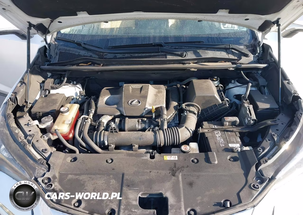 2019 Lexus Nx 300 VIN:JTJBARBZ0K2205120 - 10