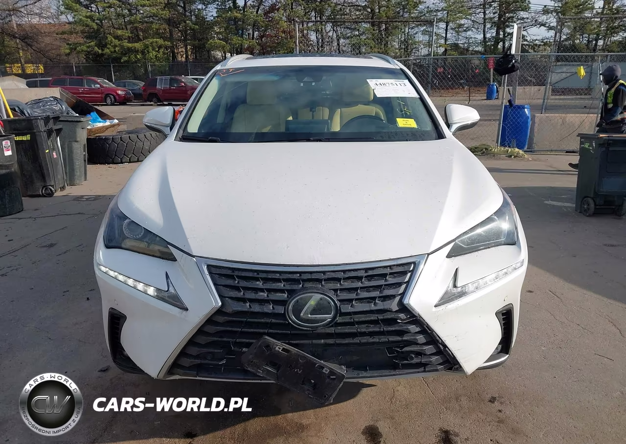 2019 Lexus Nx 300 VIN:JTJBARBZ0K2205120 - 12