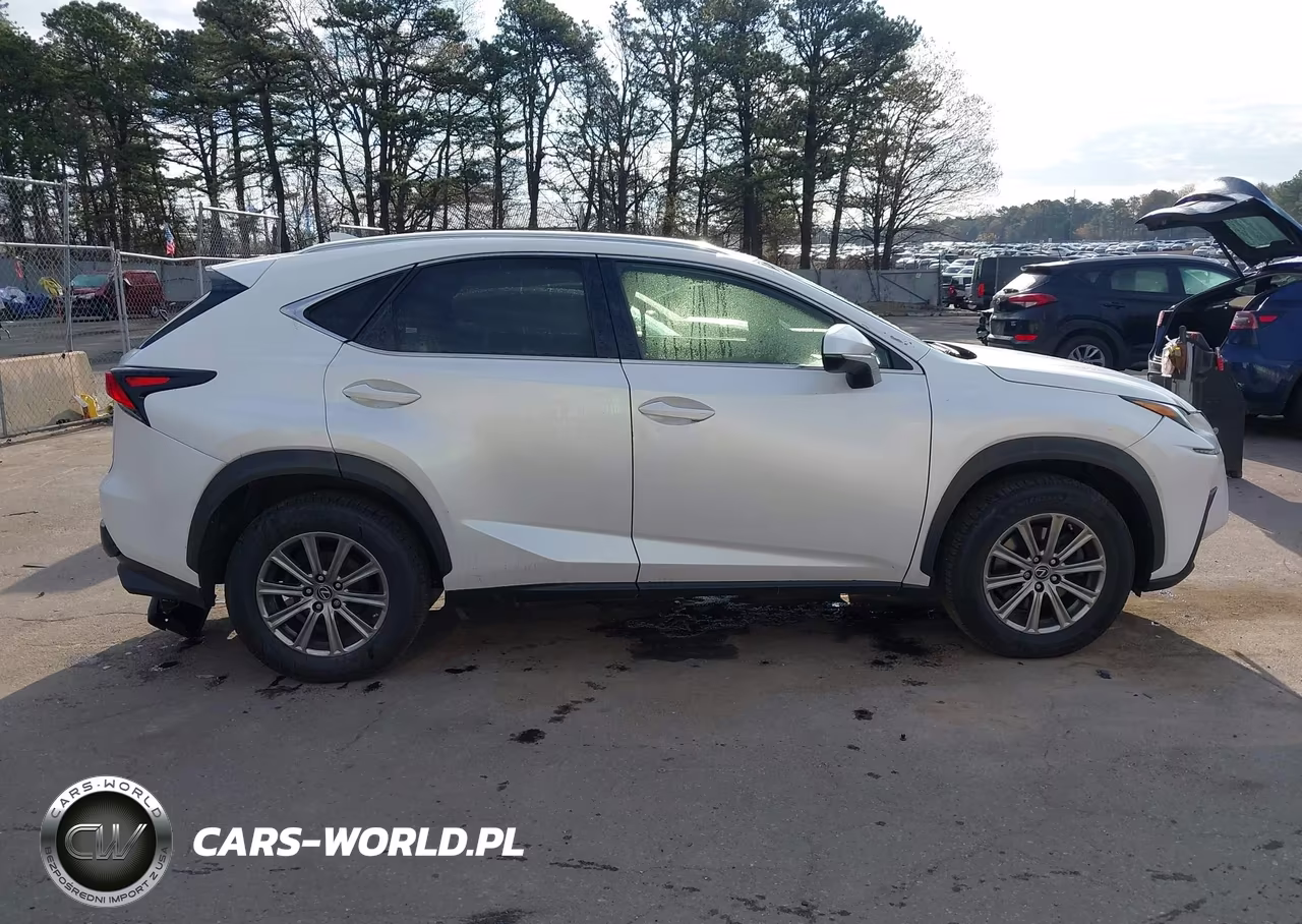 2019 Lexus Nx 300 VIN:JTJBARBZ0K2205120 - 13
