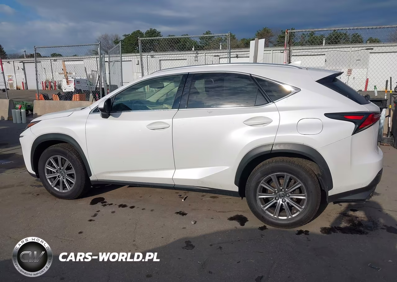 2019 Lexus Nx 300 VIN:JTJBARBZ0K2205120 - 14