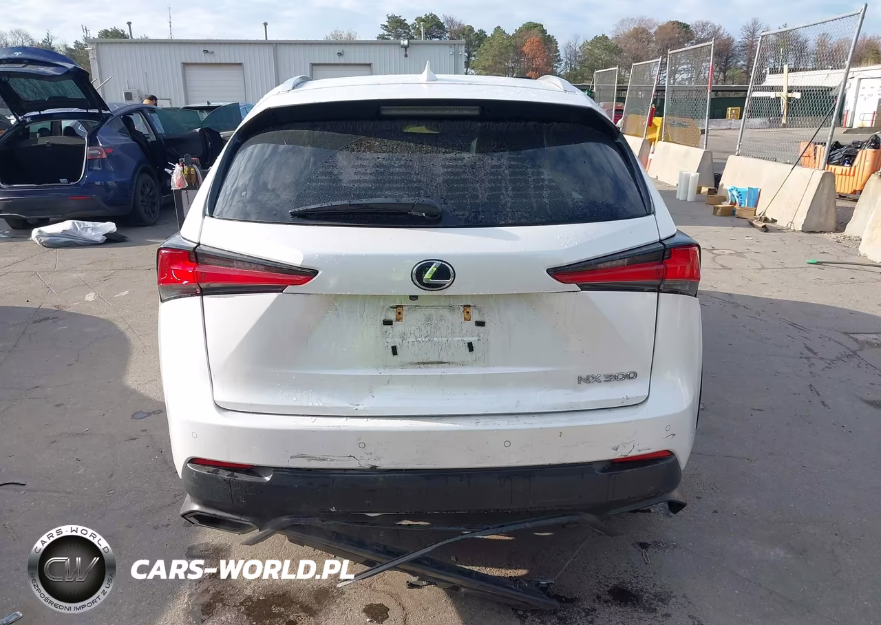 2019 Lexus Nx 300 VIN:JTJBARBZ0K2205120 - 16