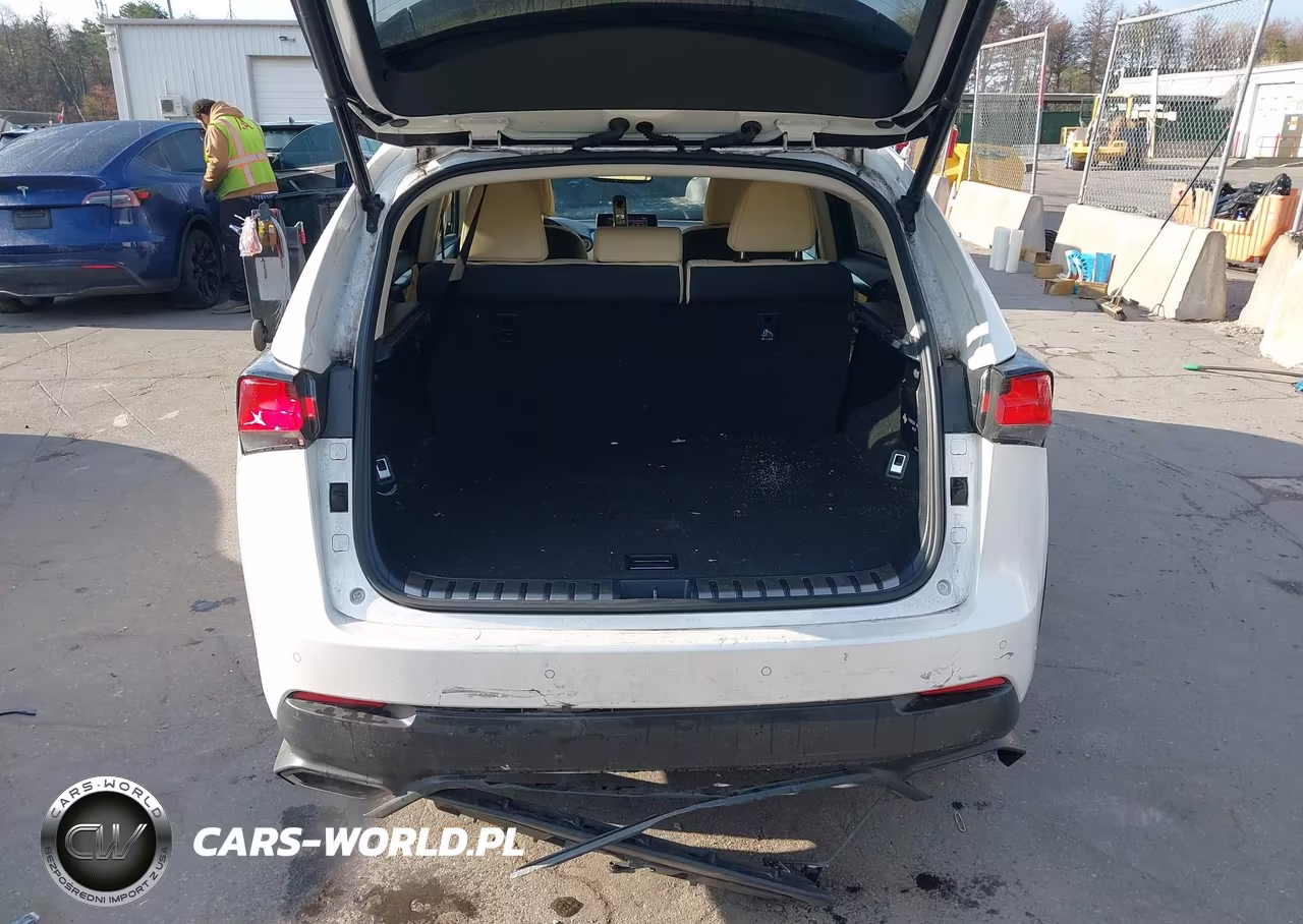2019 Lexus Nx 300 VIN:JTJBARBZ0K2205120 - 17