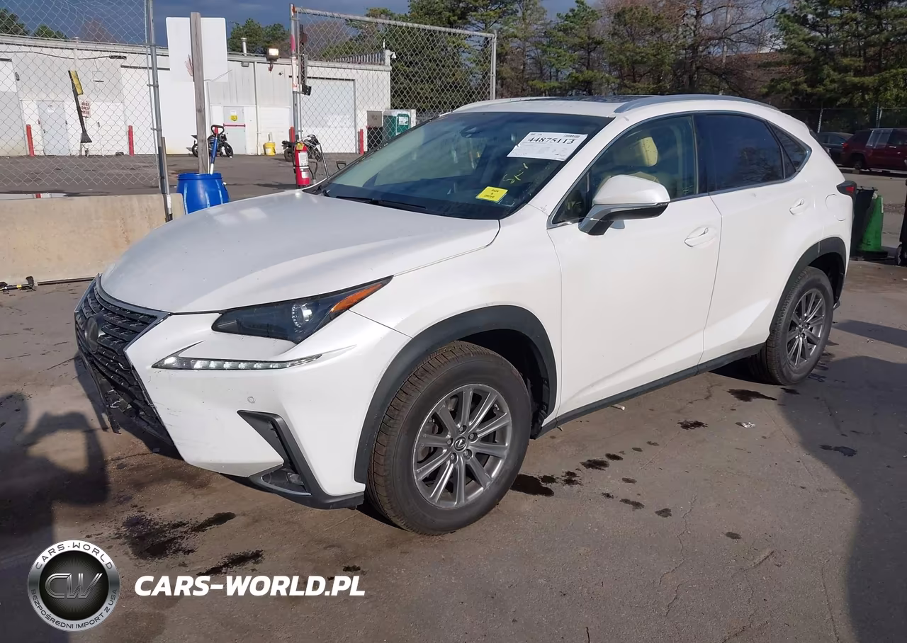 2019 Lexus Nx 300 VIN:JTJBARBZ0K2205120 - 2