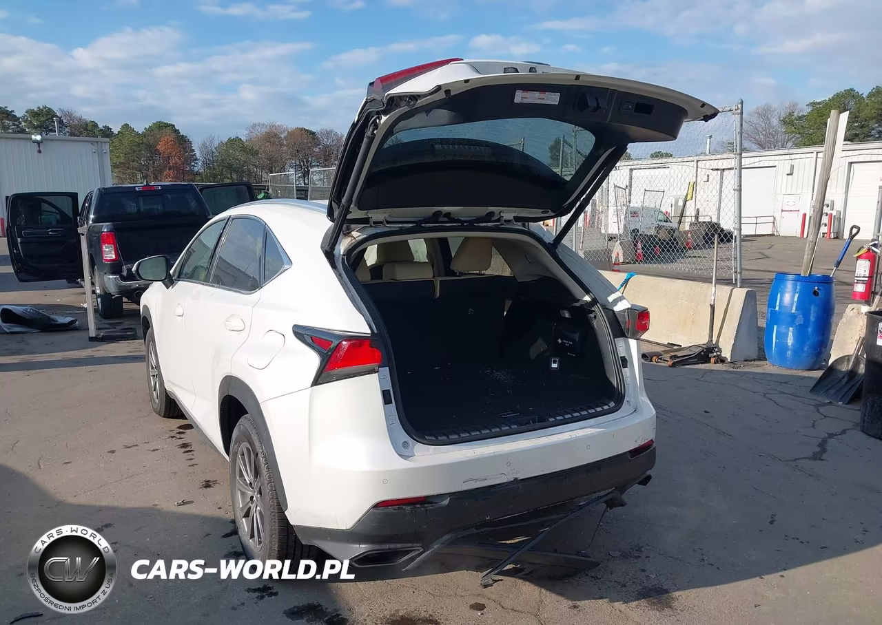 2019 Lexus Nx 300 VIN:JTJBARBZ0K2205120 - 3
