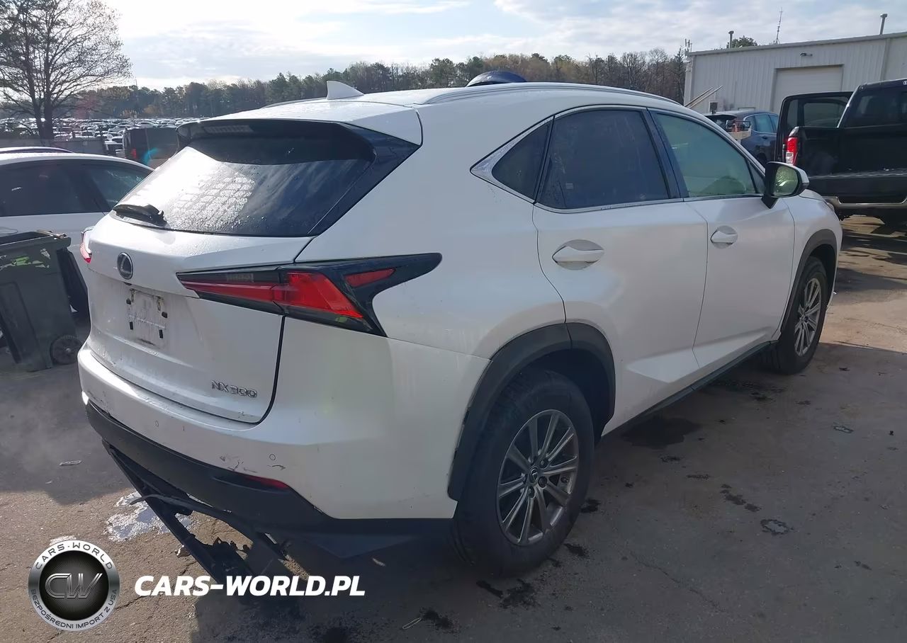 2019 Lexus Nx 300 VIN:JTJBARBZ0K2205120 - 4